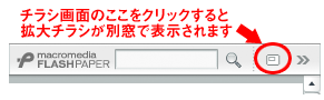 拡大説明
