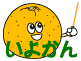 いよかん