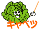 キャベツ
