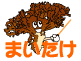 まいたけ