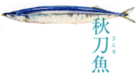 なし・梨